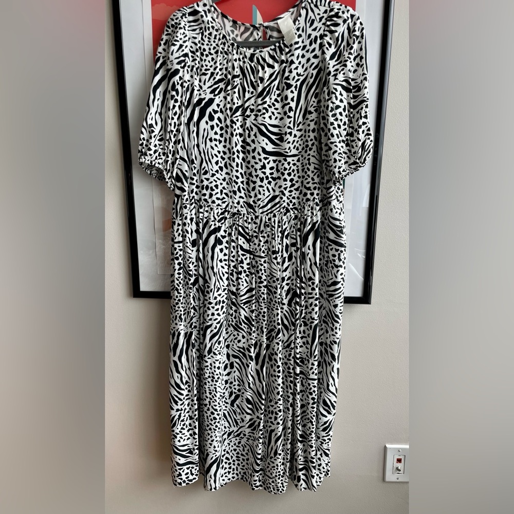 H & M Zebra King Sleeve Maxi Dress